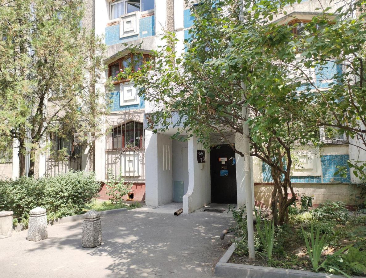 דירות אלמטי Квартира Коктобе С Видом На Горы מראה חיצוני תמונה